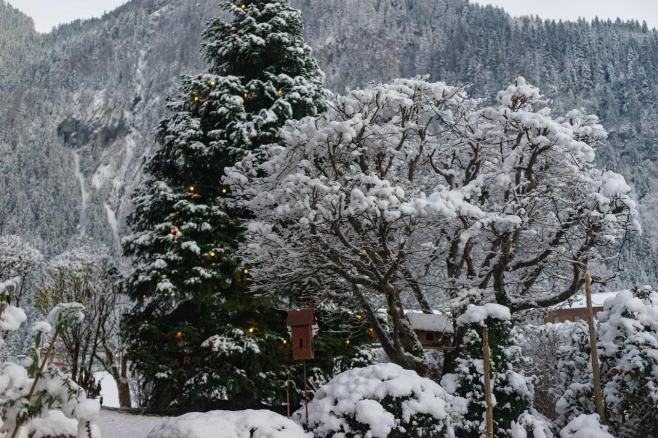 Gaestehaus Hornegger 3* Mayrhofen