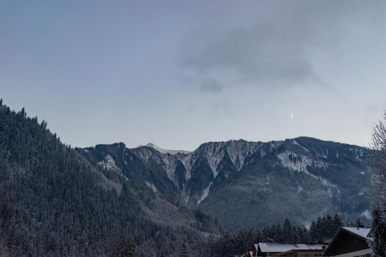 Affittacamere Gaestehaus Hornegger 3*